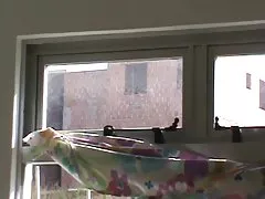 Sexy dinner courtney carter