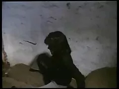 Indecent contests students