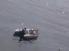 Diligent student sex