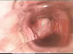 Vdul secretary in full