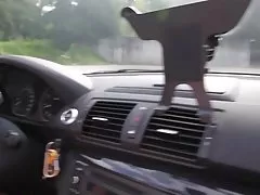 Has deprived itself of innocence