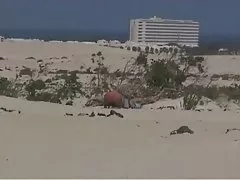 Anal sex in the big house