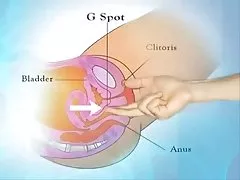 Teacher boobs fingering member