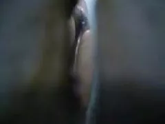 Capri cavalli pleasure member