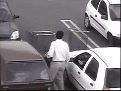 They are not just a walk in the woods