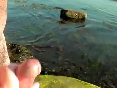 Vanessa lane came to a finish last